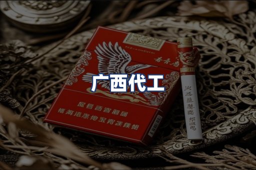 广西代工